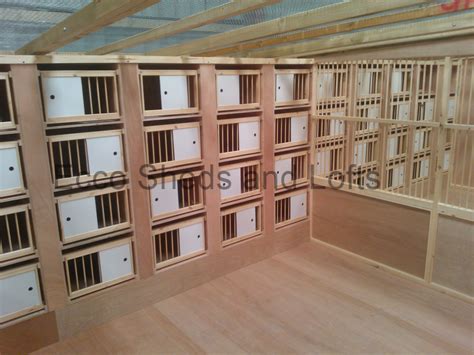 pigeon nesting boxes plans